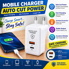 Smart Auto-Cut Fast Charger